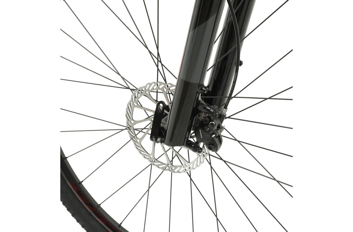 Vélo WELT Ranger 2.0