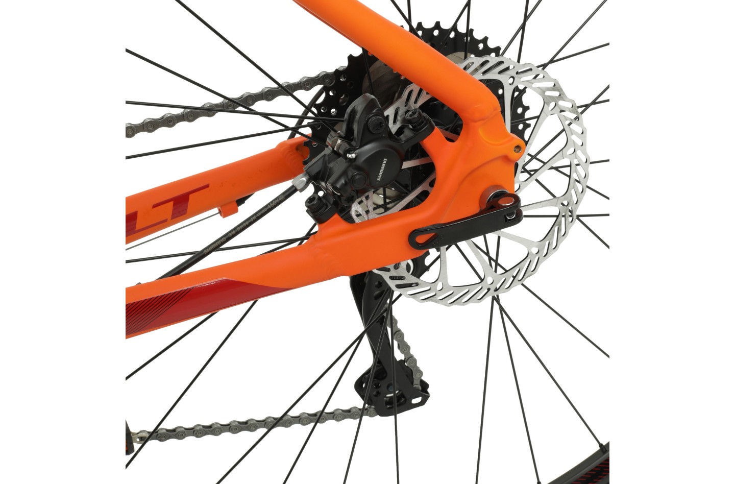 Vélo WELT Ranger 2.0