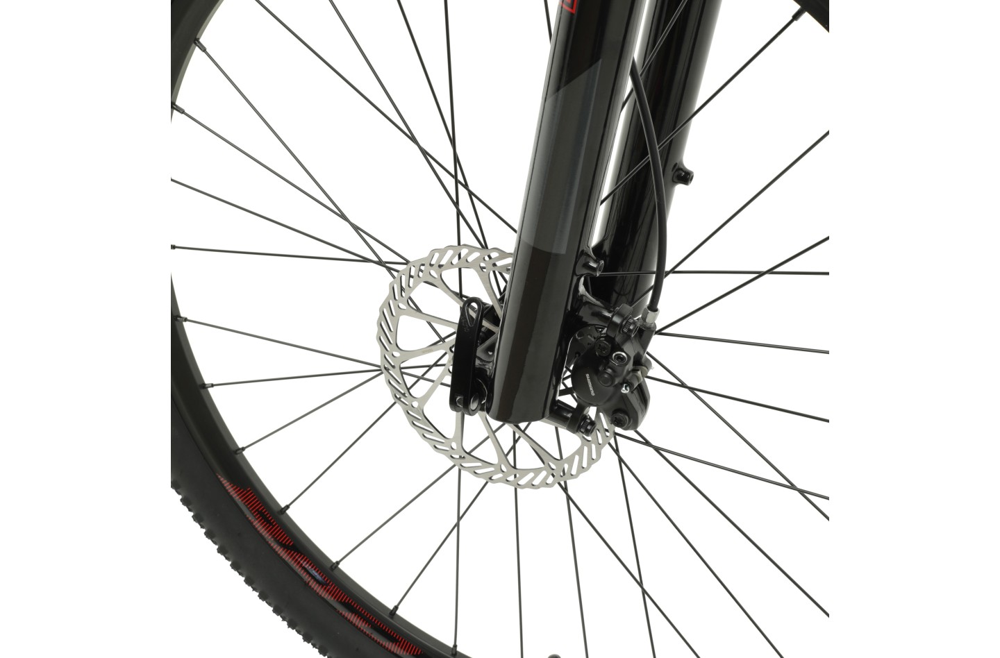 Vélo WELT Ranger 2.0