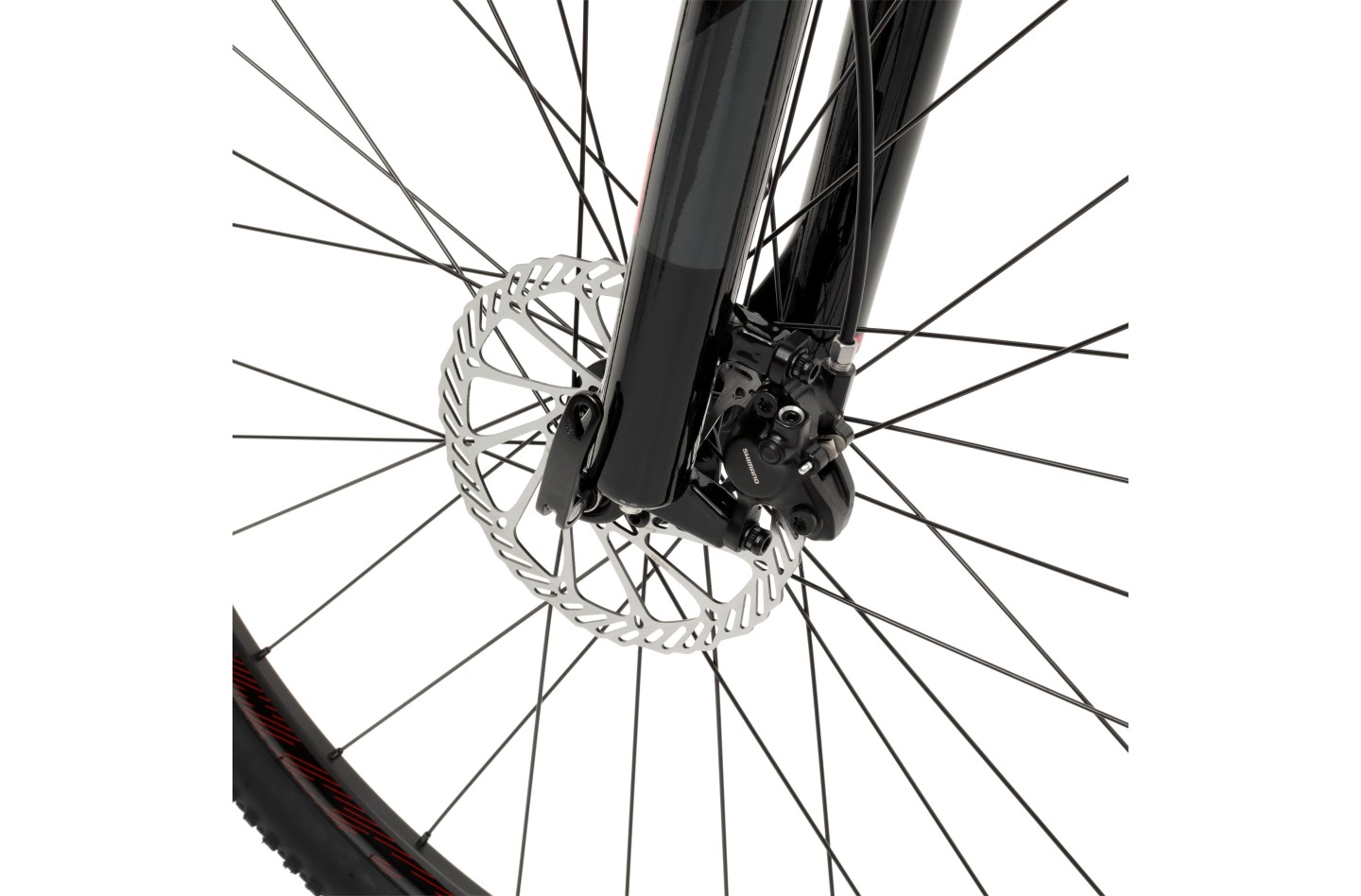 Vélo WELT Ranger 3.0