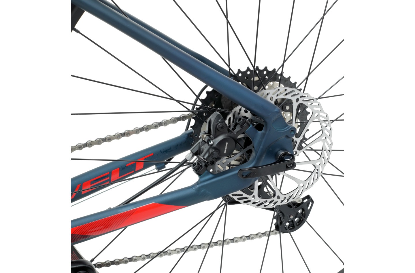 Vélo WELT Ranger 3.0