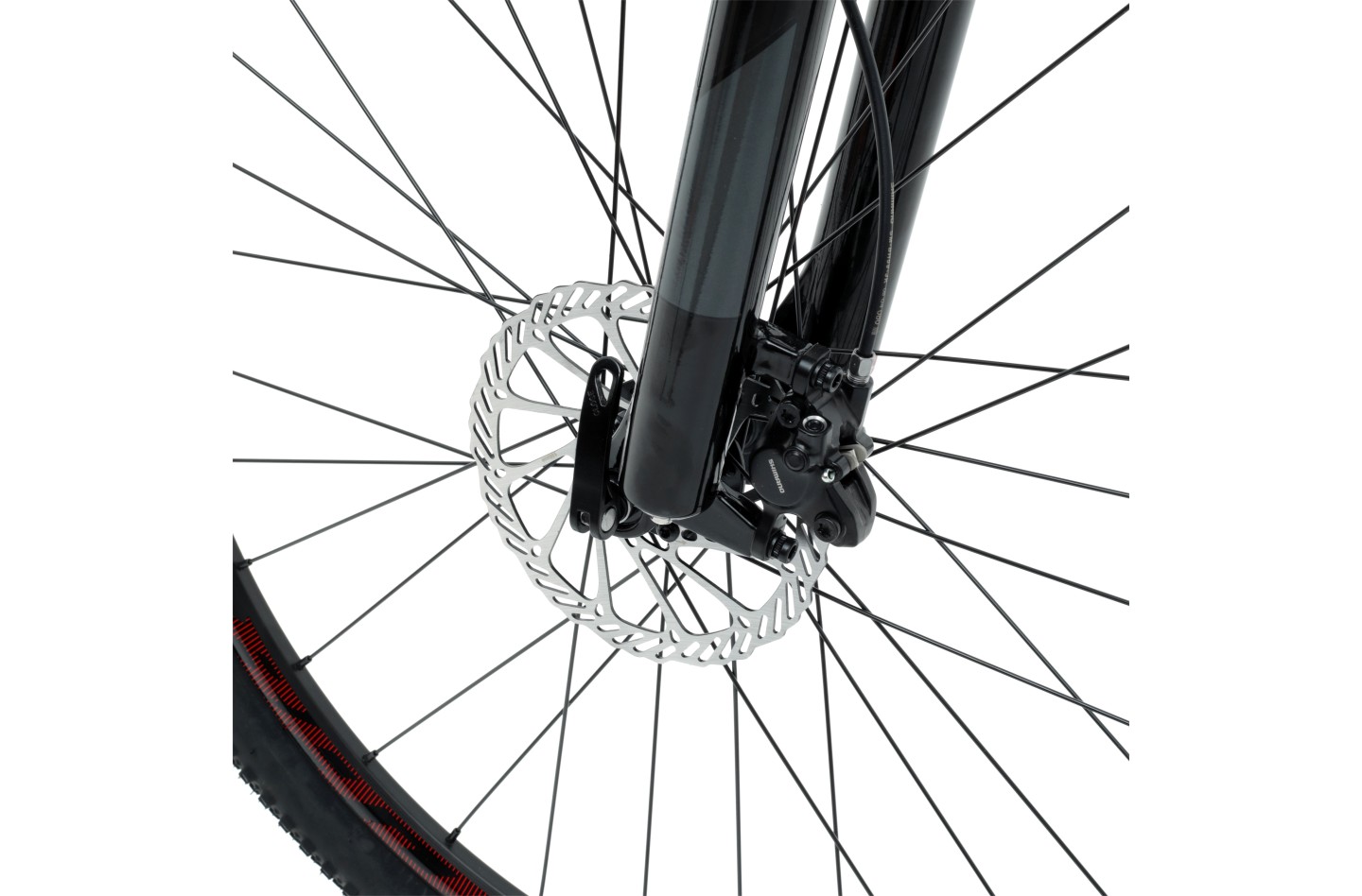 Vélo WELT Ranger 3.0