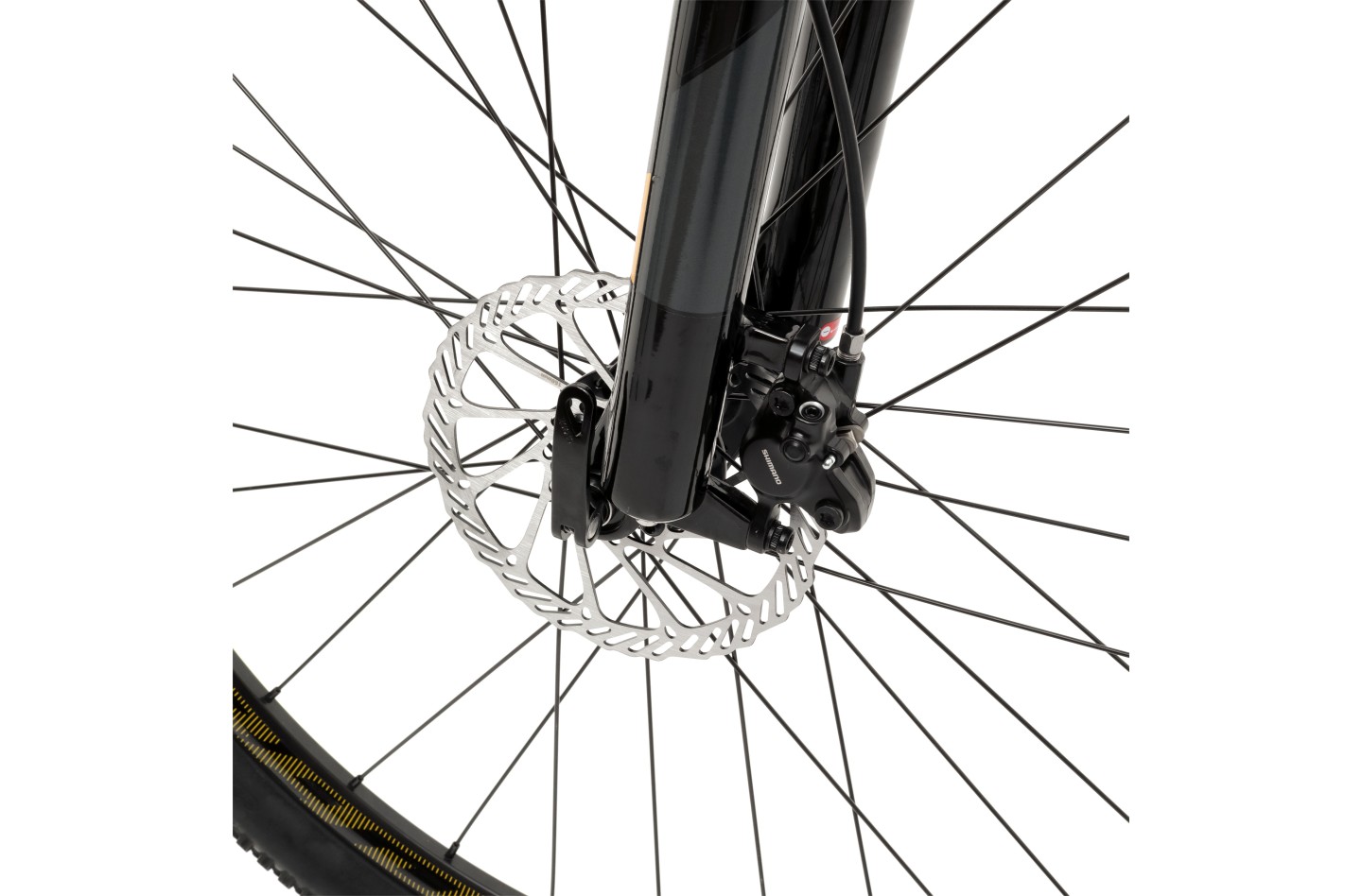 Vélo WELT Rockfall 5.0