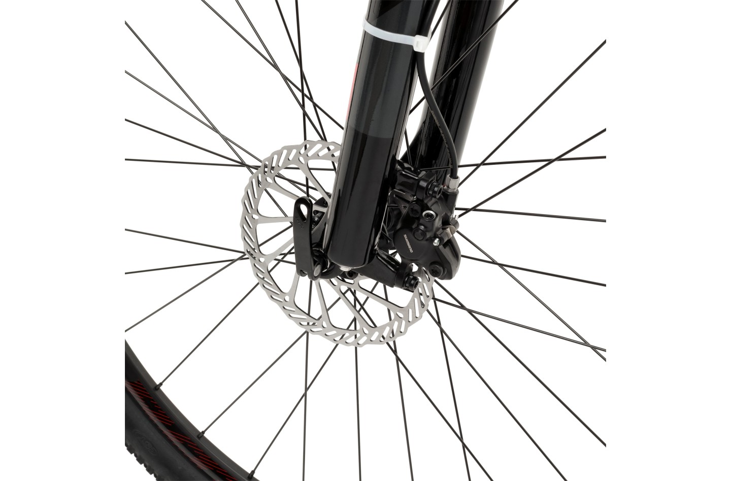 Vélo WELT Rockfall 5.0