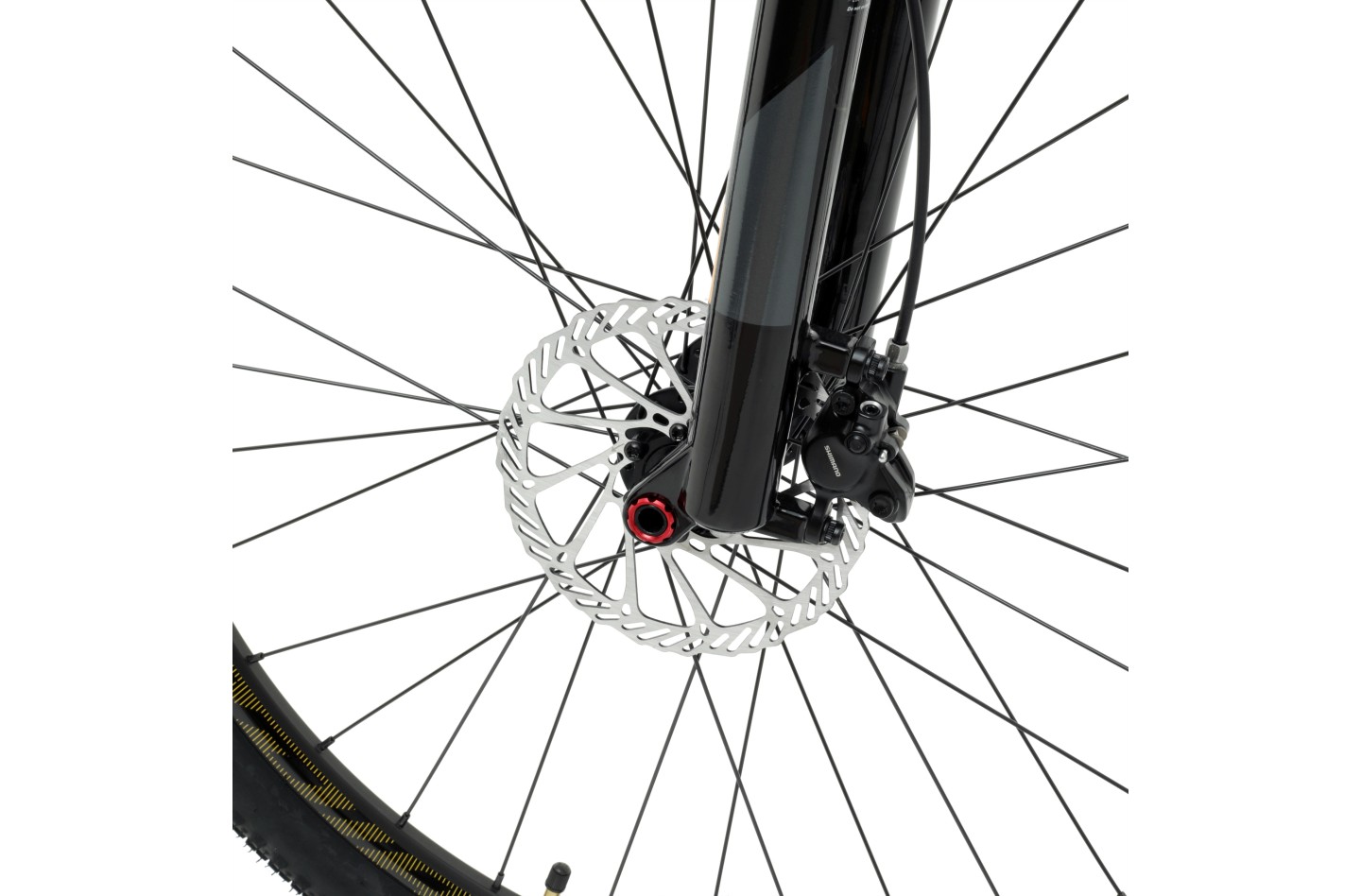 Vélo WELT Ranger 4.0 29 18 ABIME carton  S04